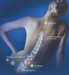 Rückenmarkstimulation (SCS)